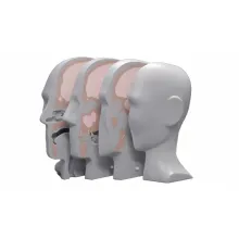 ФДПТ Фантом головы для дозиметрии протонной терапии Ref. 731-HN Proton Therapy Dosimetry Head фото