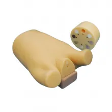 LCT фантом раковых легких Ref.PH8 Lung Cancer Screening CT Phantom LSCT0001 фото