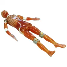 Полноростовой КТ фантом с патологиями Ref.PH-2E Whole Body Phantom with Pathologies фото