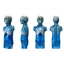 ПАФ Педиатрический антропоморфный обучающий фантом Ref. 715 Pediatric Anthropomorphic Training Phantoms фото