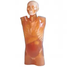 CTU-41 Монолитный КТ фантом торса Ref.PH4 CT Torso Phantom фото