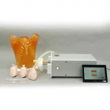 Динамичный фантом сердца и лёгких Ref. PH-48 Dynamic Heart and Lung Phantom фото