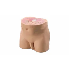 ОМТ Мужской фантом органов малого таза Ref. 801-P Virtually Human Male Pelvis Phantom фото