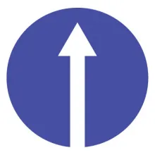 Дорожный знак 4.1.1 Движение прямо (D=700) Тип А фото