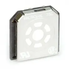SR-W-MP75C BW Technologies сенсор метана (CH4) термокаталитический фото