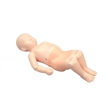 Тренировочный фантом для сонографии бедра младенца Ref.US-13 Infant Hip Sonography Training Phantom фото 1