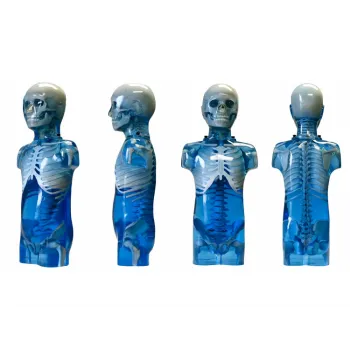 ПАФ Педиатрический антропоморфный обучающий фантом Ref. 715 Pediatric Anthropomorphic Training Phantoms фото 1