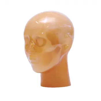ASC Ангиографический головной КТ фантом Ref.PH3 Angiographic CT Head Phantom ACS фото 1