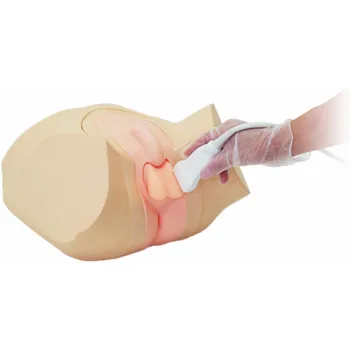 Скротальный фантом для ультразвукового исследования Ref.US-11 Scrotal Ultrasound Phantom фото 1