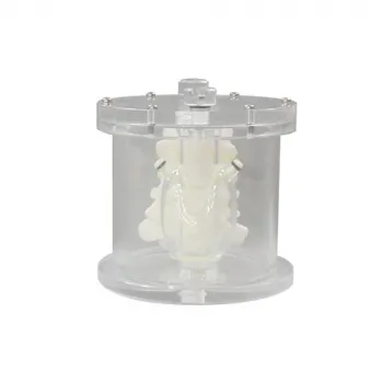 ПЭТ / ОФЭКТ Прозрачный фантом щитовидной железы Ref. PH-69 Thyroid Phantom UN фото 1