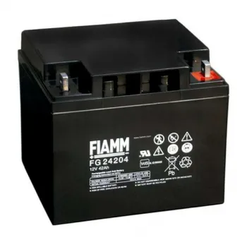 FIAMM FG 24204 - батарея аккумуляторная серии FG (12 В, 42 Ач, 196х163х174 мм, 13,8 кг) фото 1