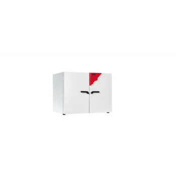 Шкаф сушильный Binder FD 240 фото 1